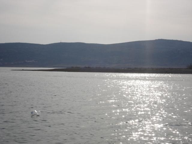 Apartments Zile Starigrad Paklenica Bagian luar foto